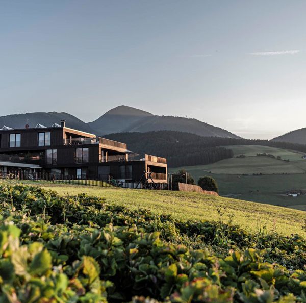 Projekt_Panorama_Living_Dolomites_c-hannes-niederkofler-web-5754