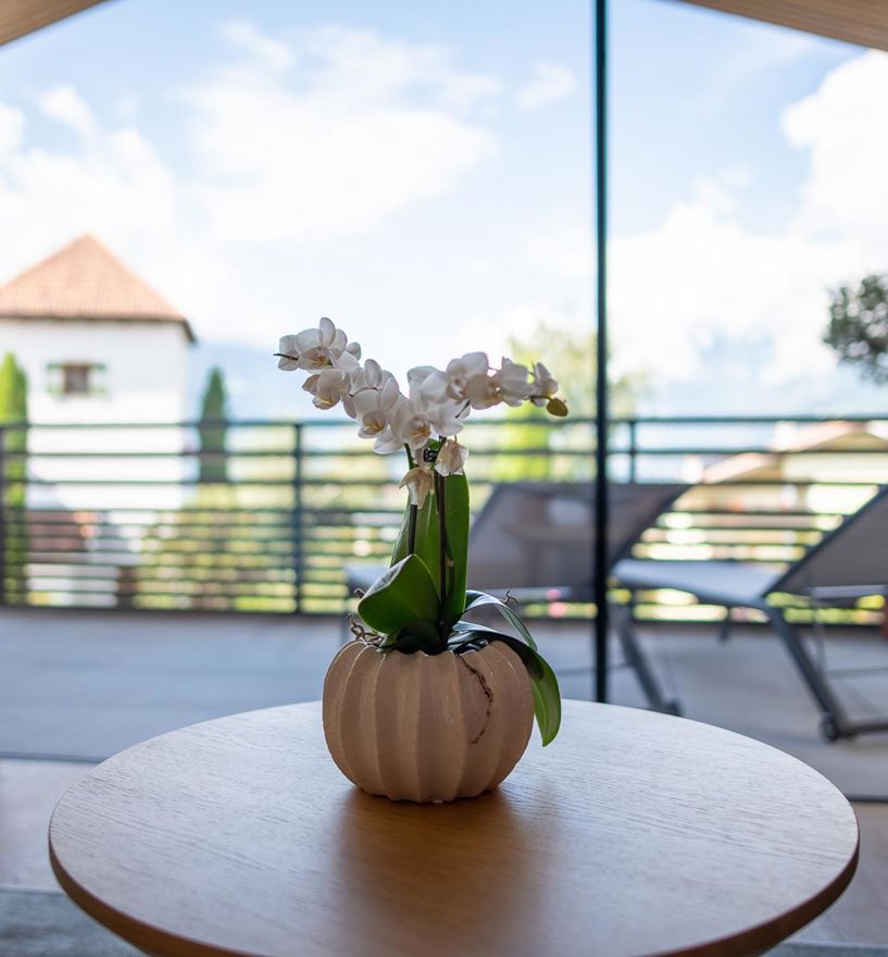 Projekt: Staferhof Schenna - Tip Top Fenster & Systeme - Fenster und Verglasungen aus Südtirol
