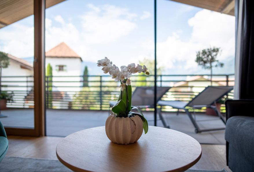 Projekt_Staferhof_Appartements_Schenna_HD-20190822113938