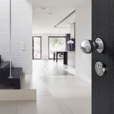 Accessorio per la porta d'ingresso: pomello standard
