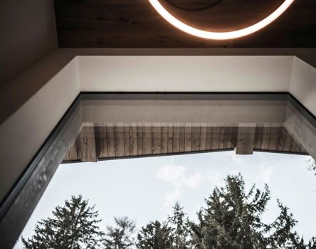 Blick durch modernes Fenster auf hölzernes Vordach und Tannenbäume unter blauem Himmel.