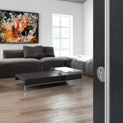 Porta d'ingresso con maniglione standard in inox